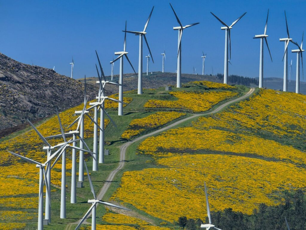 Clean energy: solar and wind